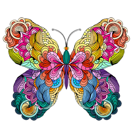 LAST DAY 80% OFF-Butterfly Colorful Edition(Limited Time Special)