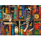 LAST DAY 80% OFF-Cats - Frederick the Literate