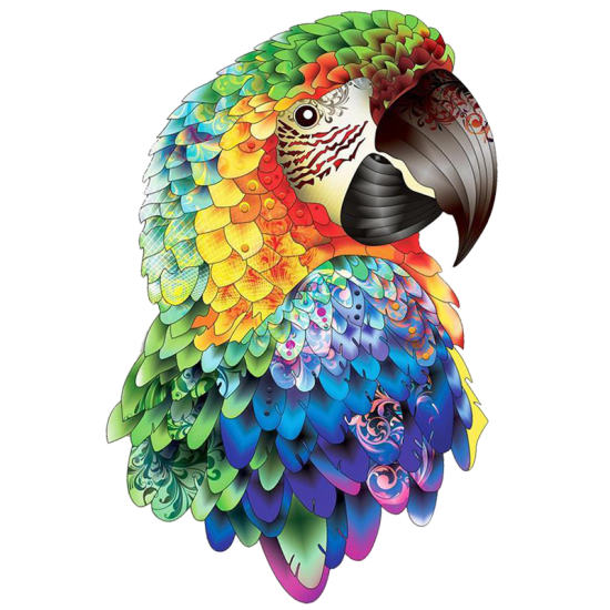 LAST DAY 80% OFF-Parrot