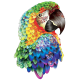 LAST DAY 80% OFF-Parrot