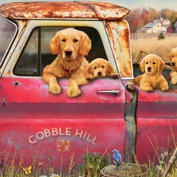 LAST DAY 80% OFF-Cobble Hill Farm