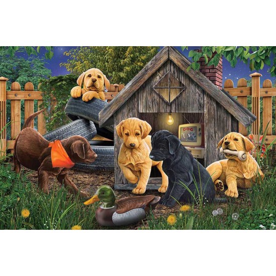 LAST DAY 80% OFF-Doghouse