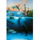 LAST DAY 80% OFF-Dolphin Rides Wyland