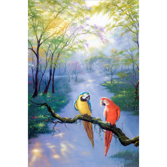 LAST DAY 80% OFF-Colors of rainbow Parrots