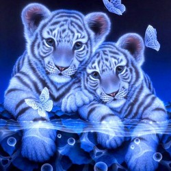 LAST DAY 80% OFF-Two Tigers