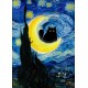 LAST DAY 80% OFF-Black Cat On Starry Night