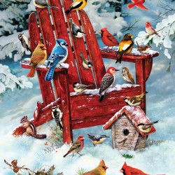 LAST DAY 80% OFF-Hill Adirondack Birds