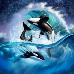 LAST DAY 80% OFF-Killer Whale Digital