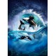 LAST DAY 80% OFF-Killer Whale Digital