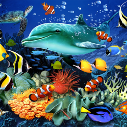 LAST DAY 80% OFF-The underwater world