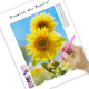 LAST DAY 80% OFF-A Yellow Sunflower in Full Bloom