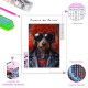 LAST DAY 80% OFF-A poodle dog wore sunglasses