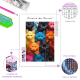 LAST DAY 80% OFF-Colorful Cats