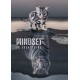 LAST DAY 80% OFF-Cat and Tiger Mindset Is Everything