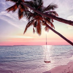 LAST DAY 80% OFF-palm tree beach