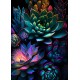 LAST DAY 80% OFF-Magic Succulents at Night