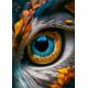 LAST DAY 80% OFF-Spiritual owl eye