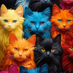 LAST DAY 80% OFF-Colorful Cats