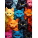 LAST DAY 80% OFF-Colorful Cats