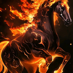 LAST DAY 80% OFF-Intense Fire Horse