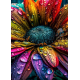 LAST DAY 80% OFF-Brightly colored flower with raindrops