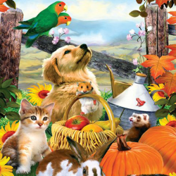 LAST DAY 80% OFF-Puppies and Kittens in Autumn