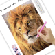 LAST DAY 80% OFF-Huge African Lions